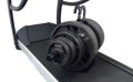 500 lb.jpg