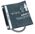 U500-1A-ADult.png